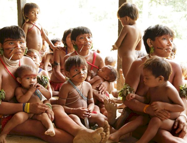 Relatos de 30 meninas Yanomami grávidas de garimpeiros, diz secretário